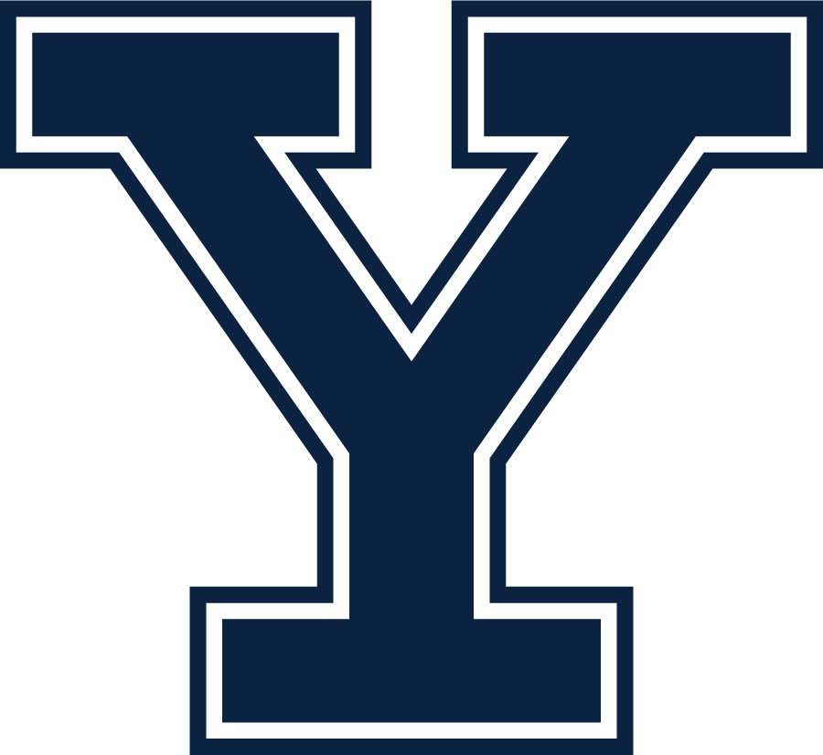 Yale Bulldogs 2019-Pres Primary Logo diy DTF decal sticker